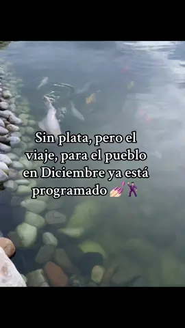 #viral #pueblo #diciembre #cervezabienfria 🏃🏻‍♀️‍➡️🏃🏻‍♀️‍➡️🏃🏻‍♀️‍➡️ JAJAJAAJAJJAJAAJ