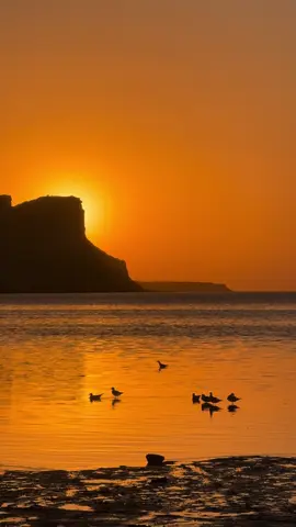 زندگی امیشہ مسکراکر جیو  کودا سے بہتر کوئی نیے ہوتا 🙃. 