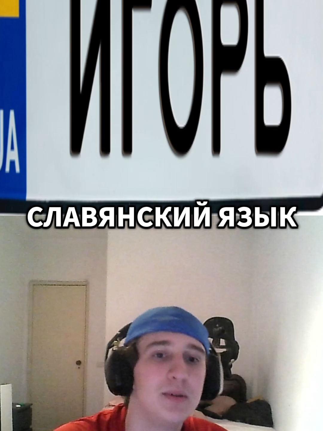 twitch:leha_paws#leha_paws #twitch #мем