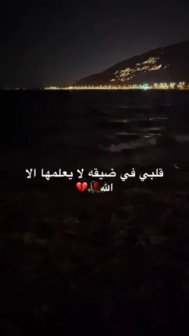 #تركيا #الامارات_العربية_المتحده🇦🇪  ياقلبي وش بيك 