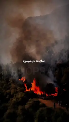 کم درد داشتیم ، اینم بهش اضافه شد... به تماشای کودوم دشت بشینم؟؟؟ . . . جنگلای مازندران... . . . #مازندران #تتلو #فوريو #foryou #foryoupage 