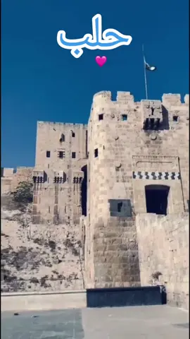 حلب الروح ❤️✨🩷✨