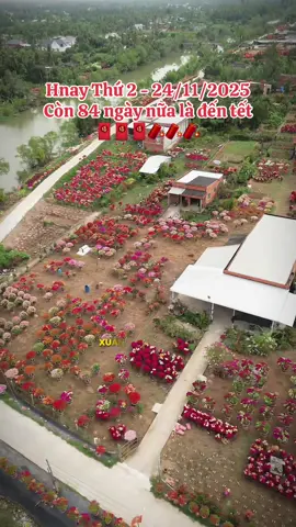 #CapCut sắm đồ dần là vừa rồi mọi người ơi #tetsumvay #tet2026 