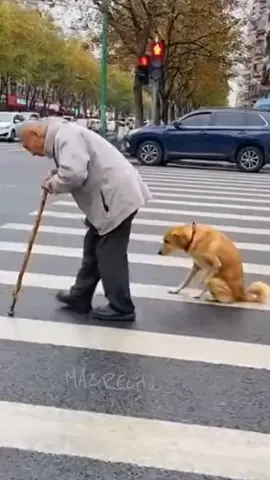 Si quieres ser exitoso actúa como tal. #creatorsearchinsights #macrecita✨🌿🍀 #crecimientopersonal✨✨🦋🦋 #serexitoso 