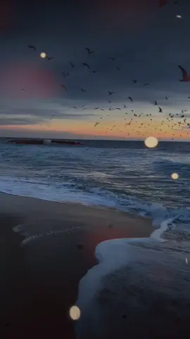 #ترند50مليون_60مليون 