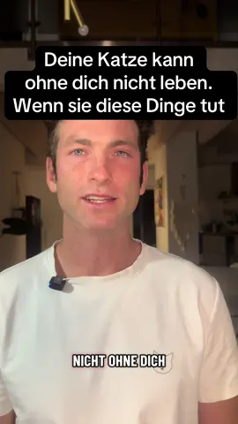 Welche Zeichen zeigt deine Katze?🐱 ❤️ Schreib es mir gern in die Kommentare ! #katzenvideos #katzenliebe #wohnungskatze #katzenauftiktok #katzenwissen 