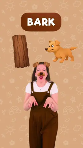 Homonyms in English! (Part 3) 🇬🇧/ Les homonymes en anglais #learning #kids #beginner #easy #education