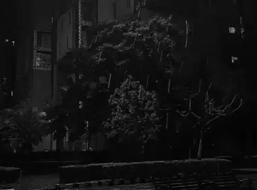 #azhaua#actives#foryou 