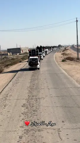 #موكب_الاحزان #السماوه_مدينتي #فاضل_عواد_السماوي #سيد_فاقد_الموسوي #2025 