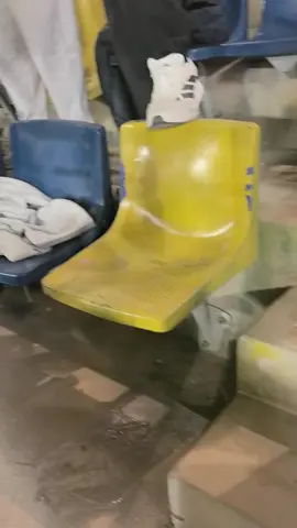 النصر العالمي جمهور النصر الكبير#النصر_السعودي #اكسبلور #مشاهدات100k🔥 #cristianoronaldo #الرياض 