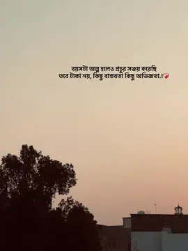 বয়সটা অল্প হলেও প্রচুর সঞ্চয় করেছি তবে টাকা নয়, কিছু বাস্তবতা কিছু অভিজ্ঞতা.! ❤️‍🩹 #sojibjr #foryoupage #viral 