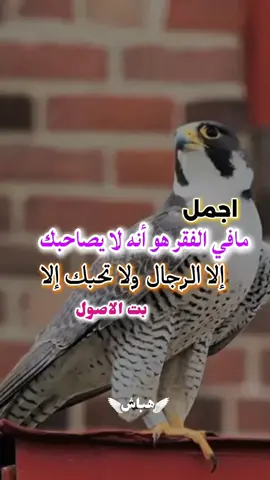 #الصحراء_الغربية 🇸🇩#الشعب_الصيني_ماله_حل😂😂 