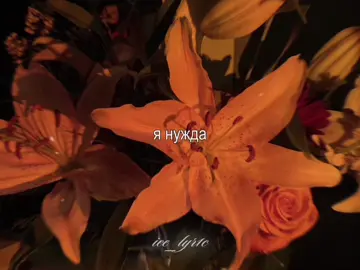 -хочу быть смыслом твоим || #музыка #песня #футаж #ice_lyr1c #speedsongs 