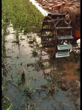 #traktorsawah #traktormaniajawabarat #traktormaniaindonesia #petanimuda #petaniindonesia🇮🇩🇮🇩🇮🇩🌿🌿 