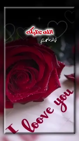 #احبك #الله_لايحرمني_منك 