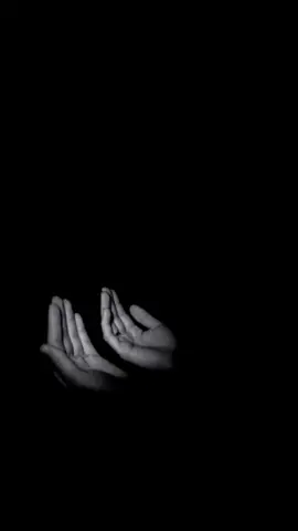 يارب انا اشهد ان لا اله الا انت #دعاء #دعاء_يريح_القلوب #quran #قرآن 