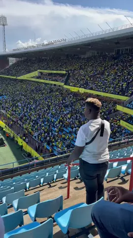 #sundowns #floid247#skomota 