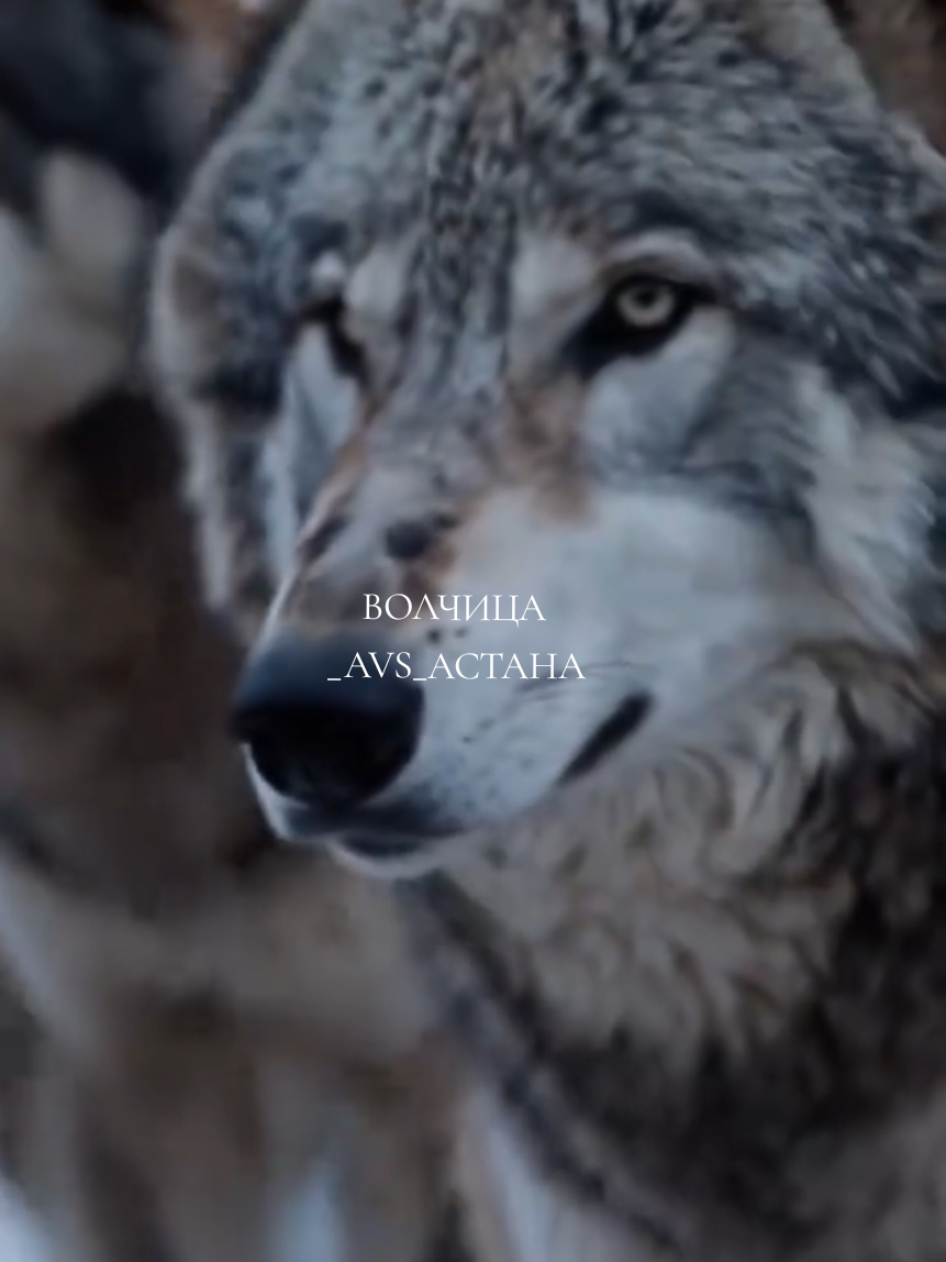 каждый имеет право на счастье,ошибки —это часть жизни.Не ошибается тот, кто ничего не делает#жизнь #настроение #музыка #песни #мудрость 