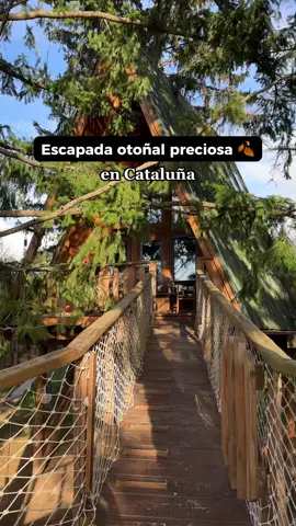 Escapada otoñal preciosa en Cataluña 🍂 💚 Nos alojamos en una Casa en el árbol 🌳 que tenía hasta tina de agua caliente y luego fuimos a su spa con jacuzzi y sauna 🧖🏻‍♀️ Al día siguiente, nos dejaron el desayuno en una cesta 🧺 ✨ Lo reservé a través de @AlohaCamp España, una plataforma con lugares únicos en plena naturaleza como éste 😍 🤑 Tienes 20€ de descuento para tu primera reserva AlohaCamp desde el enlace ➡️ aloha.camp/irenestravelling  📍Es @Xalet de Prades y aparte de casas en los árboles, tienen iglús, casitas de madera y mucho más 🪵🏡 ¿Te vienes? #Publicidad #alohacamp #escapadas #Otoño #autumn          