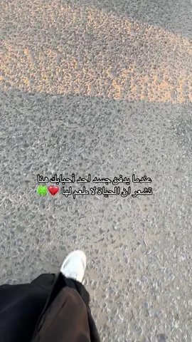 #💔🍀 #النجف_الاشرف #فقيدتي 