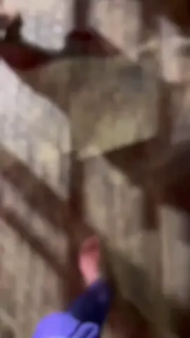 #Ayyappa #biggeststrength #mylove #hope #everything 