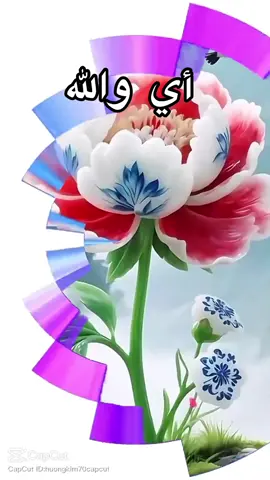 #الحمدلله_دائماً_وابداً#المغرب🇲🇦تونس🇹🇳الجزائر🇩🇿#❤️#🥀🖤#