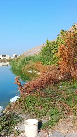 #سوريا #حماه #سهل_الغاب #باب_الطاقة #viral #🤍🤍🤍 