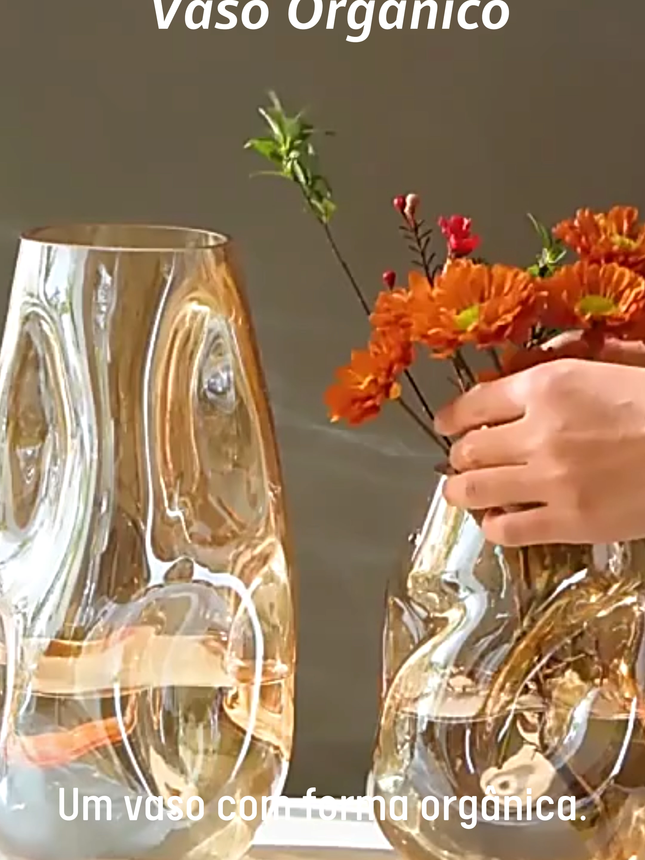 Beleza não é só o que se vê... é o que se sente. 🌸 Esse vaso orgânico parece esculpido pela luz — perfeito pra quem ama decoração com alma. Dourado ou transparente? Me conta nos comentários! 👇 💡 Comenta “Quero” que te mando link personalizado! #vasoorganico #decoracaominimalista #larsofisticado #vasodourado #decordicas #tiktokbrasil #reelsinstagram #decoracaodecasa #vasomoderno #interiordesign