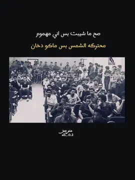 الشاعر امير حبيب 