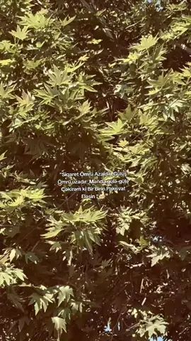 #baku #xanlar #birxan #birquruz #❤️‍ 