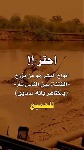 #تصميم_فيديوهات🎶🎤🎬 #عبارات_جميلة_وقويه😉🖤 #اكسبلور 