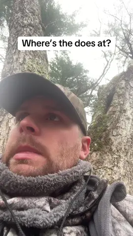 How’s your season going?  #hunting #deerseason #buckfever #bowhunting #archeryhunting 