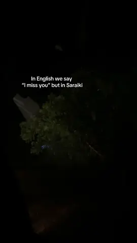 #pakistan #saraiki #punjabi #foryoupage #viral 