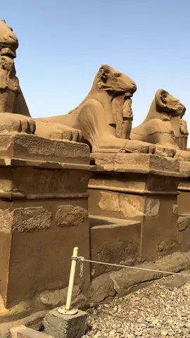 #ancientegypt #egypt #luxor #karnaktemple #ancienthistory 