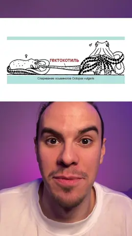 #интересное 