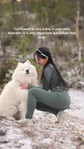 My heart dog 🤍 #fyp #dogtok #chasinghappiness #mushingdog #outdooradventures 