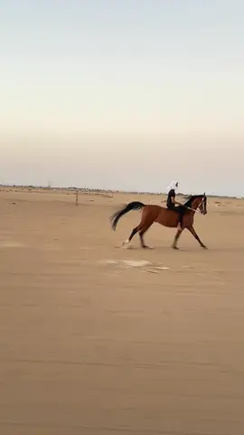 #اكسبلورexplore#برزان اذكروالله#ذكرالله_زين#الشعب_الصيني_ماله_حل😂😂 