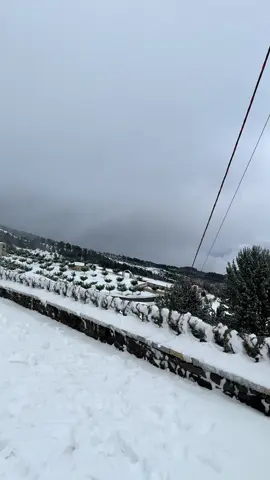 #maliitomorrit🙏🏻🙏🏻 #mbrekullitejetes #nandimoftetegjitheve 