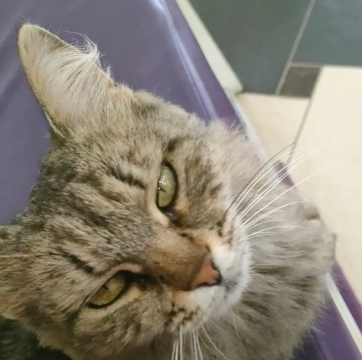 Photos that can't be posted on the Telegram channel