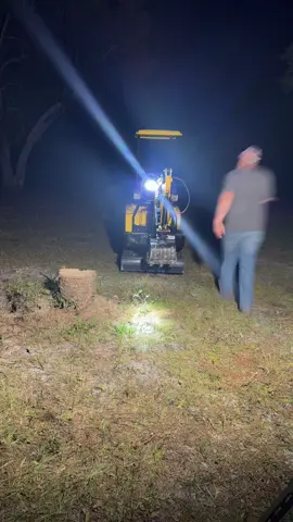 I want all of the palms gone #WhatAreYouWorkingOn #inrustwetrust #chinapillar 