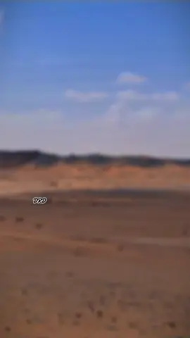 #الشعب_الصيني_ماله_حل😂😂 #ليبيا #سبها_ليبيا_الجنوب_الليبي #بنغازي #fyp 