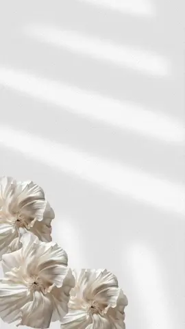 قالب عقد قران جاهز للتصميم🤍 #دعوات_الكترونيه #تصاميم #عقد_قران💍 #دعوات_زفاف #اكسبلور 