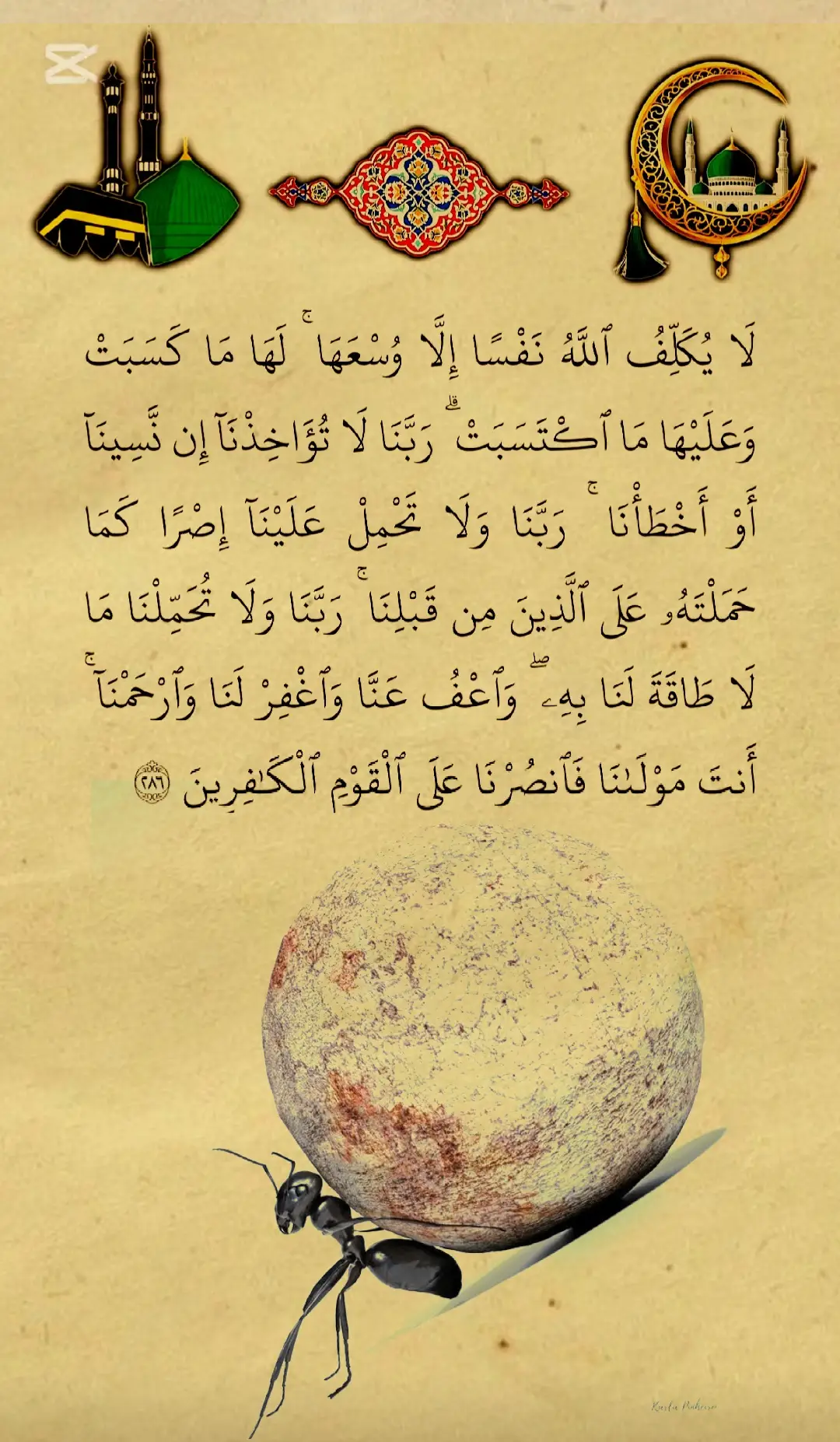 #القران_الكريم #قران_كريم #قران #القران_الكريم_راحه_نفسية #foryou 