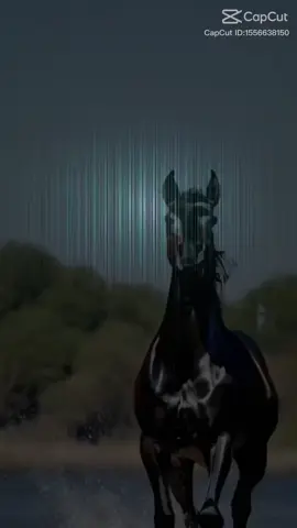 🌾🌿أنت الضياء اذا الظلام تسيدا، صلى عليك الله دهرا سرمدا🌾🌿 #عبارةمن مدح النبي محمد#🌾🌿صلى الله عليه وسلم🌿🌾