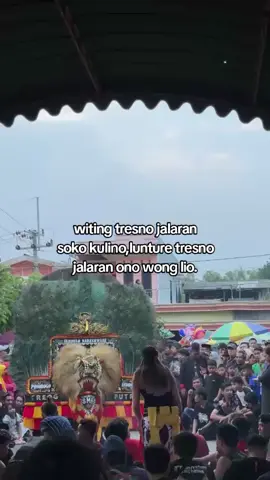 #storyreog #singobarong #foryoupagе #boloreog #fypシ゚ 