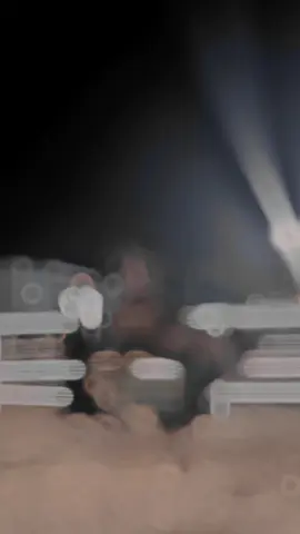 #خيل_عربي_اصيل_ما_شأ_الله  #صهيل_الخيل_ عشق_الخيل_ادمان #خيل #خيل_وخياله🐎 #خيل_عربي_أصيل🐎🐎🐎_اكسبلورر_لاان_عربي_أصيل 🖤🖤🥹