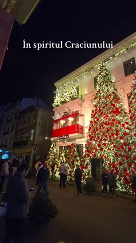 Cea mai frumoasă perioadă a anului se apropie. 🎊 Îmi place mult cum este împodobită această clădire ❤️ @Sephora Romania @Floraria Iris #cozyseason #christmasmagic #holidayglow #xmas #christmaslights 