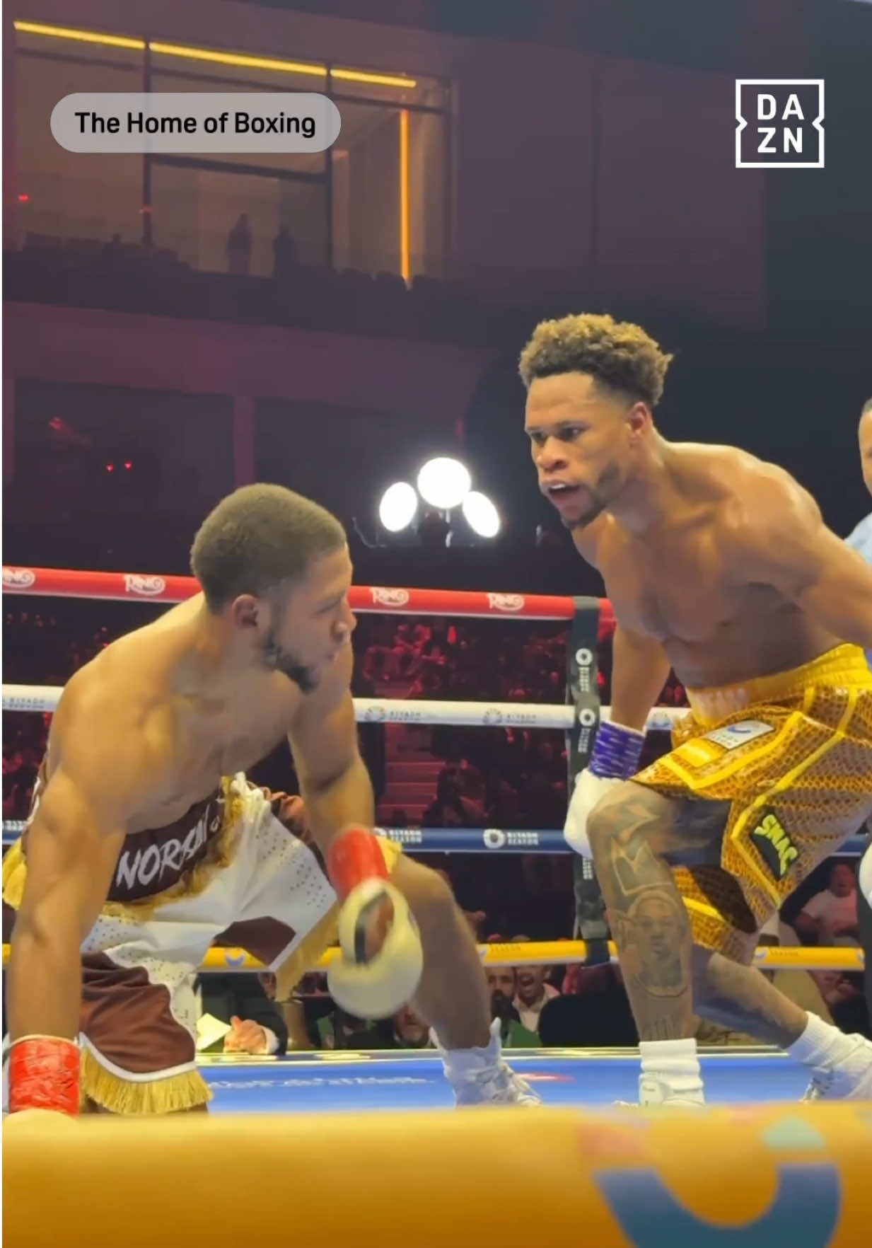 The way Devin Haney stood over Brian Norman Jr. 😬 #RINGIV | @ringmagazine 🤳