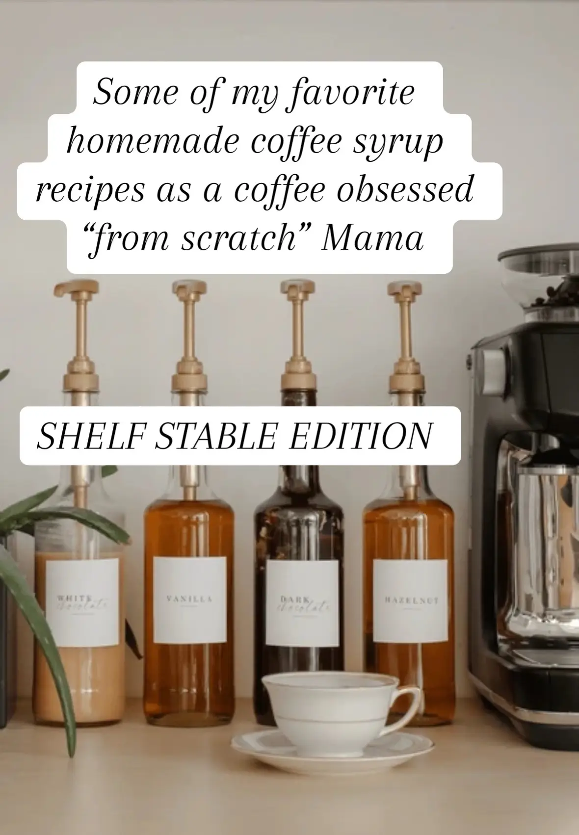 Citric acid helps make it shelf stable, we got ours from Amazon. But as long as the amount of sugar you use is double the amount of water, it’s not an environment that mold, bacteria, or fungus can survive in! #recipes #coffeesyrup #DIY #fromscratchcooking #sahm