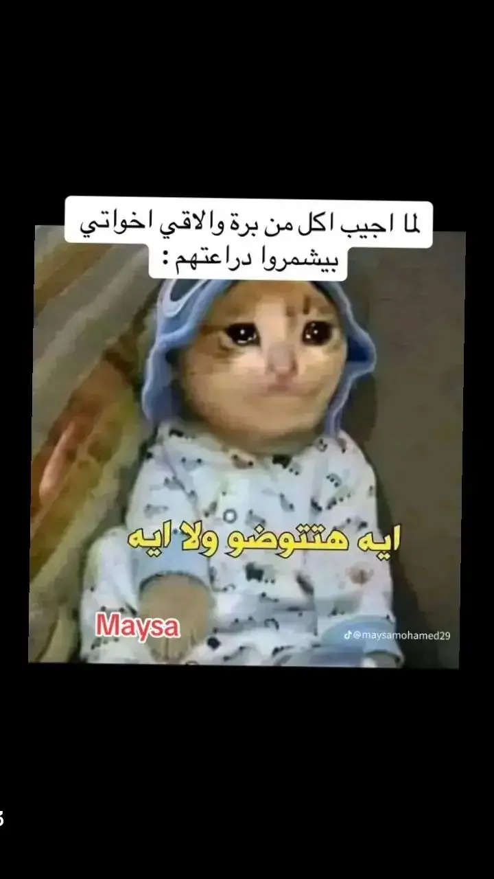 #الشعب_الصيني_ماله_حل😂😂 